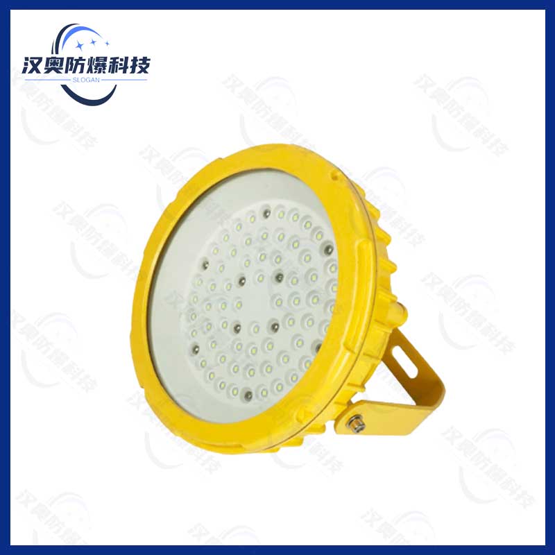 LY8929LED防爆泛光灯
